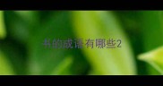 书的成语有哪些