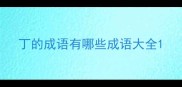 丁的成语有哪些成语大全