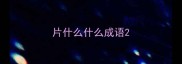 片什么什么成语