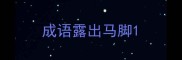 成语露出马脚