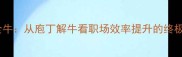 目无全牛从庖丁解牛看职场效率提升的终极法则