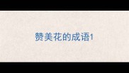赞美花的成语