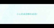 小心的成语哪些成语