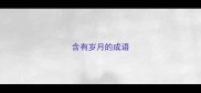 含有岁月的成语