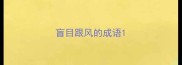 盲目跟风的成语