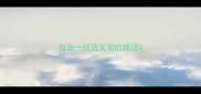 包含一组近义词的成语