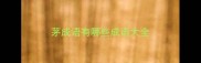 茅成语有哪些成语大全
