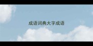 成语词典大字成语