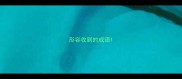 形容收到的成语