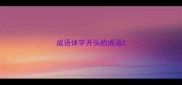 成语体字开头的成语