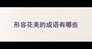 形容花美的成语有哪些