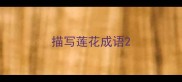 描写莲花成语