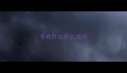 手有什么什么成语