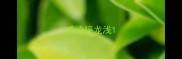 成语接龙浅