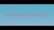 有雪有花有月亮的成语