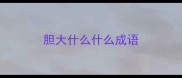 胆大什么什么成语