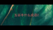 五谷丰什么成语