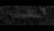 宗的四字成语