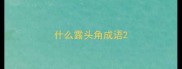 什么露头角成语
