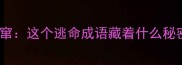 抱头窜这个逃命成语藏着什么秘密