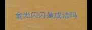 金光闪闪是成语吗