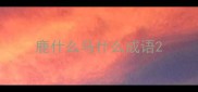 鹿什么马什么成语