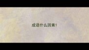 成语什么因素