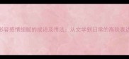 10个形容感情细腻的成语及用法从文学到日常的高阶表达指南