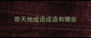 带天地成语成语有哪些