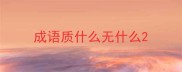 成语质什么无什么