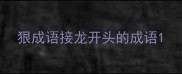 狠成语接龙开头的成语