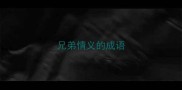兄弟情义的成语