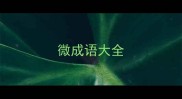 微成语大全