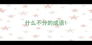 什么不分的成语