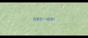 冠军打一成语