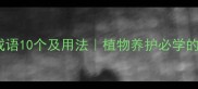 浇水的成语10个及用法植物养护必学的中文智慧