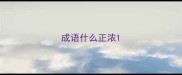 成语什么正浓