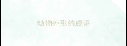 动物外形的成语
