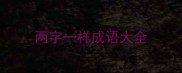 两字一样成语大全