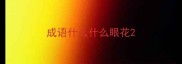 成语什么什么眼花
