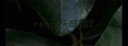 ren开头成语