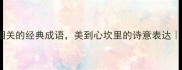 10个与秋脸相关的经典成语美到心坎里的诗意表达小红书爆款