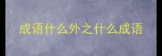 成语什么外之什么成语