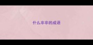 什么非非的成语