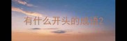 有什么开头的成语