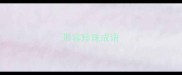 形容珍珠成语