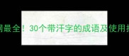 全网最全30个带汗字的成语及使用指南