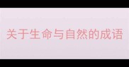 关于生命与自然的成语