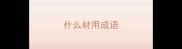 什么材用成语