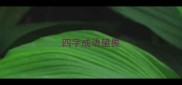 四字成语望畏
